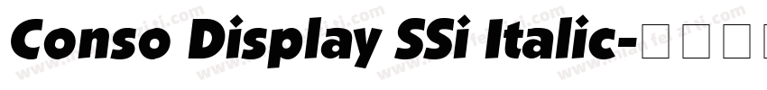 Conso Display SSi Italic字体转换